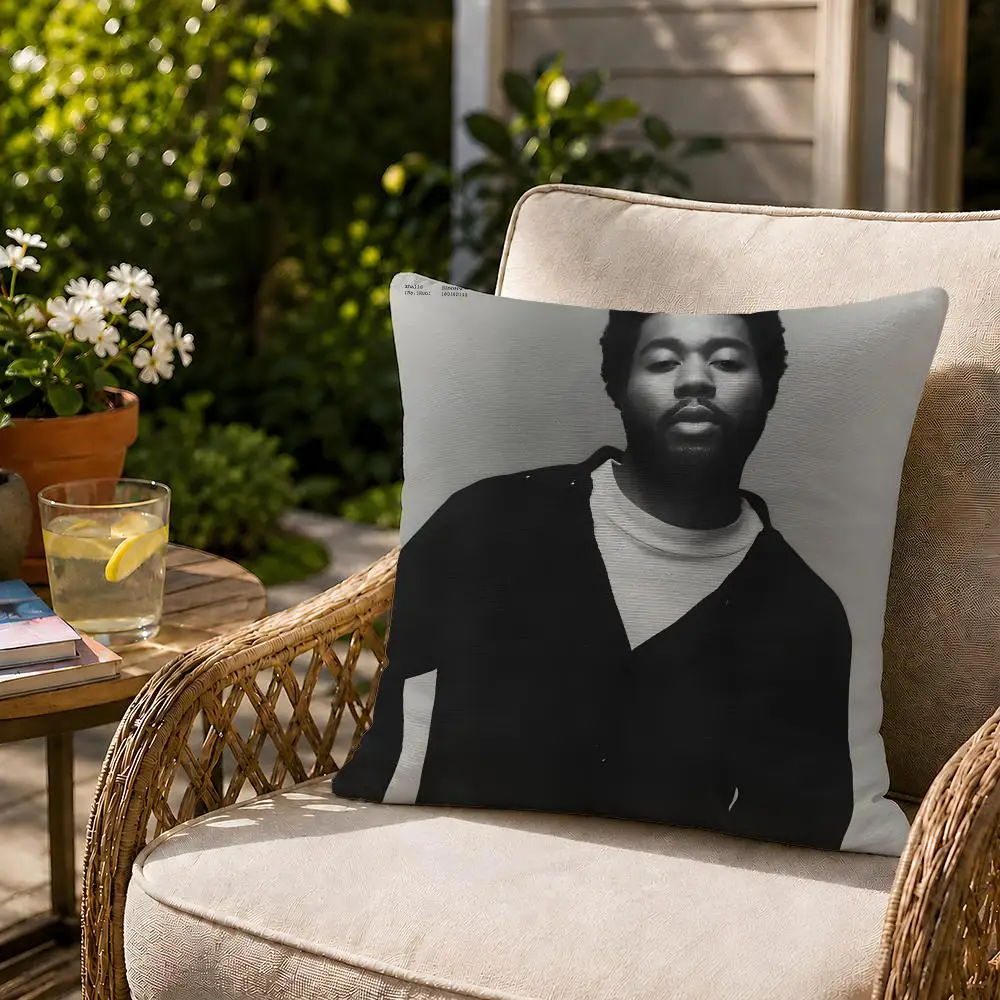 Poszewka na poduszkę dekoracyj – Home Decor Location recenzja i cena