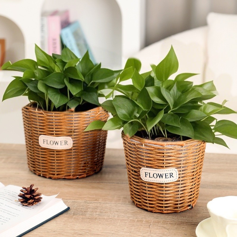 Dekoracyjny kosz na stół imitu – Rattan Plant Basket recenzja i cena